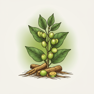 What is Ashwagandha and Why Your Skin Loves It